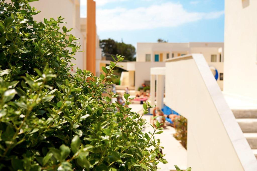 Forum Suites Kato Daratso Bagian luar foto